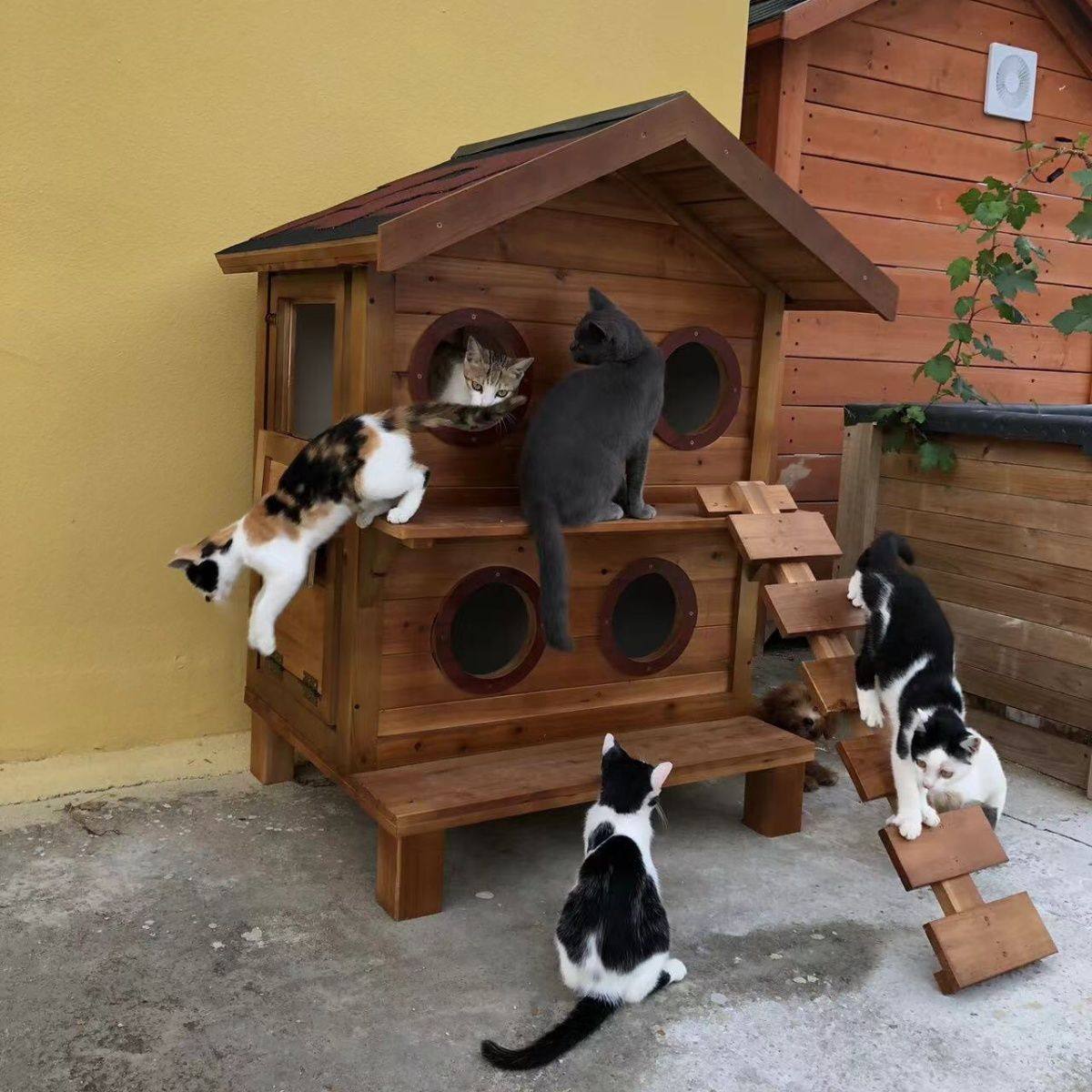 户外猫屋流浪狗窝屋别墅宠物实木四季防雨通用防晒房子保暖猫窝