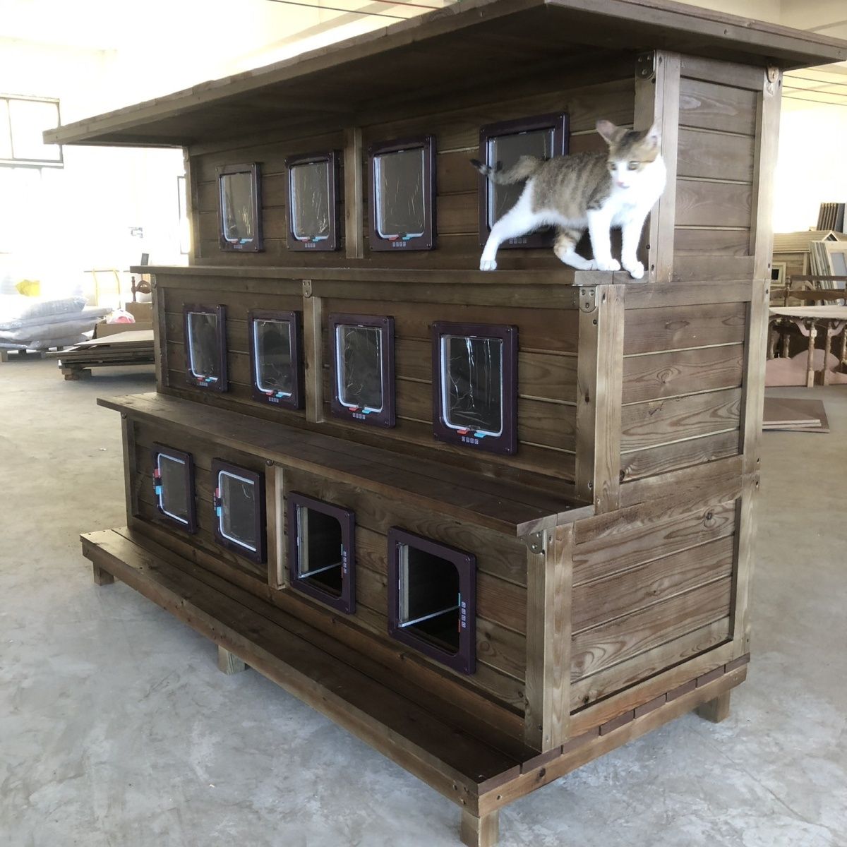 流浪猫屋户外室外猫窝防腐木四季通用房子型猫屋冬天保暖流浪猫窝