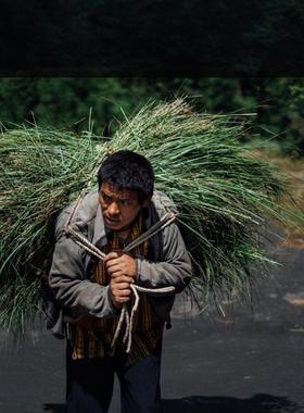 不丹Bio-Bhutan自然产品 货定期更新仅老客 不丹孩子的小店