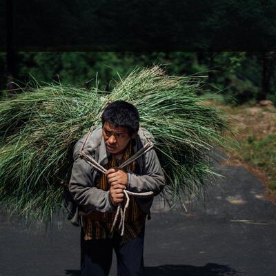 不丹自然产品Bio-Bhutan