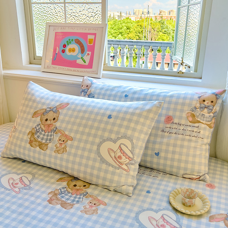 100全棉枕套48x74cm一只装 成人单人宿舍纯棉单只枕头套包邮