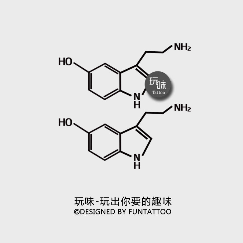 玩味原创化学符号纹身贴ins五羟色胺化学结构符号纹身防水持久男