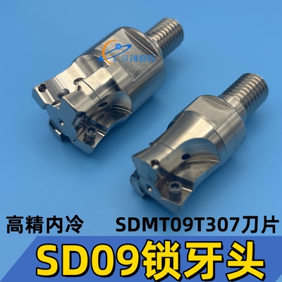 SDMT09T307内冷锁牙头SD09-MKB11