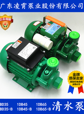 原装正品 凌霄 1DB-35/1DB-45/1DB-65 IDB35/45/65-B抽水机清水泵