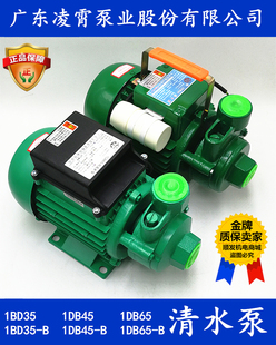 1DB B抽水机清水泵 正品 IDB35 原装 凌霄