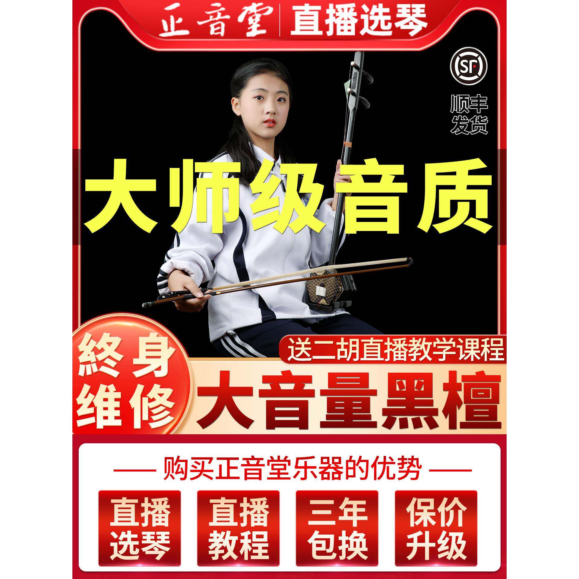 正音堂二胡乐器成人专业演奏乌木二胡初级试虎琴厂直销