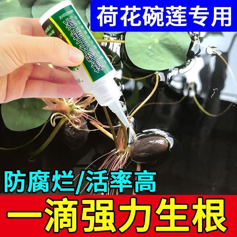 适合所有花的肥料养花通用【强力生根】碗莲荷花卉绿植通用营养液