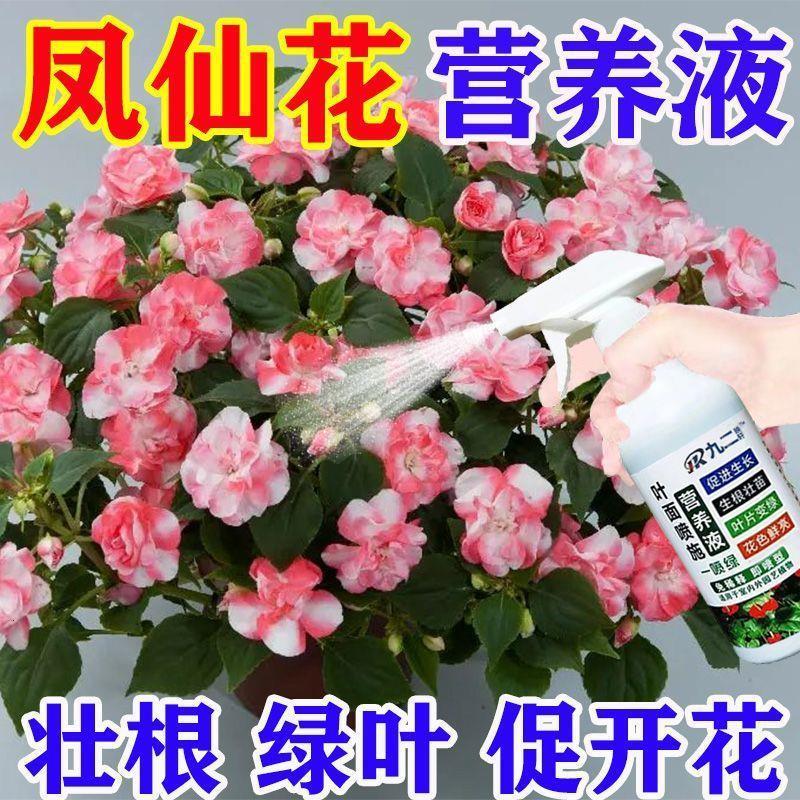 绿植营养液通用【大容量】凤仙花盆景营养液肥促生长绿叶防黄叶干
