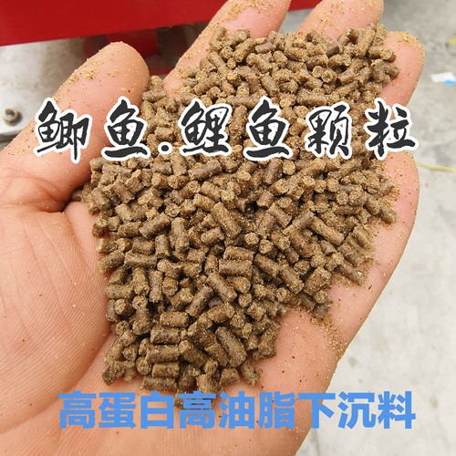 通威101鲫鱼鲤鱼饲料饵料野钓颗粒打窝料淡水鱼通用底窝钓鱼颗粒