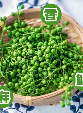 新鲜青花椒藤椒江津九叶青花椒冷冻保鲜花椒四川重庆特产特麻真空