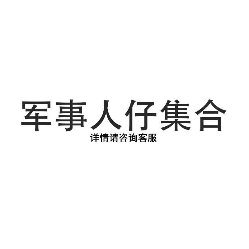 MOC第三方军事士兵长官雪地兵人仔武器配件小颗粒积木兼容乐高 玩具/童车/益智/积木/模型 普通塑料积木 原图主图