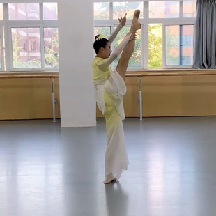 新款 艺考定制 古典舞蹈服女飘逸良宵剧目服古风胶州秧歌舞演出服装