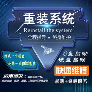 电脑重装系统软件安装远程制作系统U盘启动电脑维修W7/8/10重装