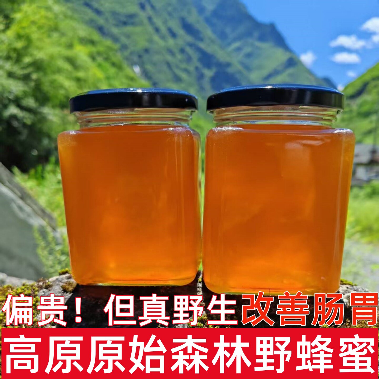 高原原始森林野蜂蜜川西高海拔成熟百花土蜂蜜无添加纯正天然原蜜