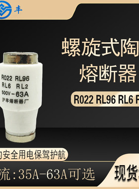 沪丰 熔断器 R022保险丝管RL96熔芯RL6熔断体RL2 35A 40A 50A 63A