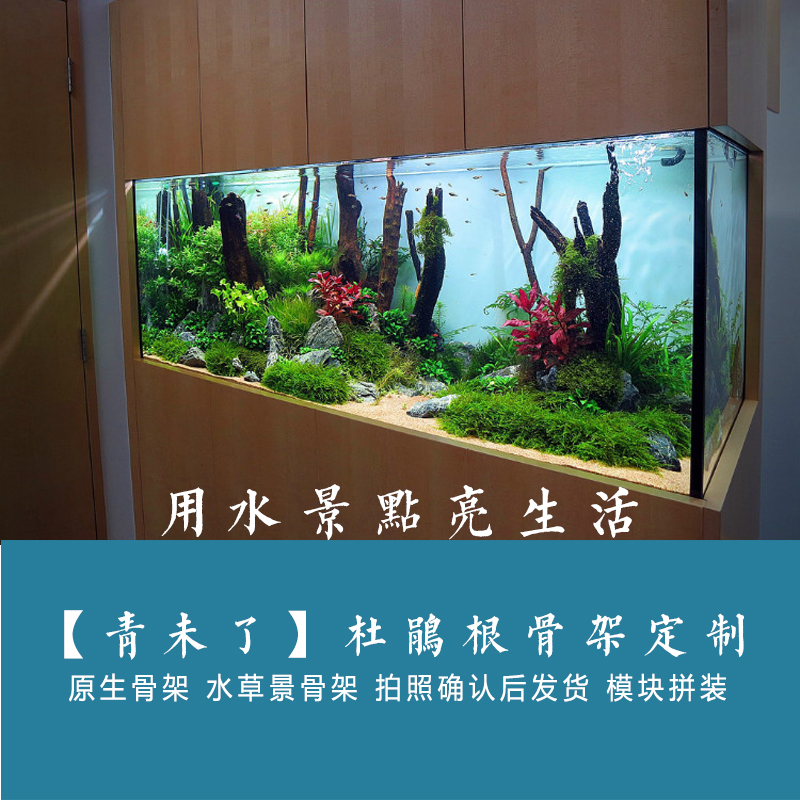 【青未了造景】进口沉木汐根骨架水草原生七彩罗汉三湖景一体成型