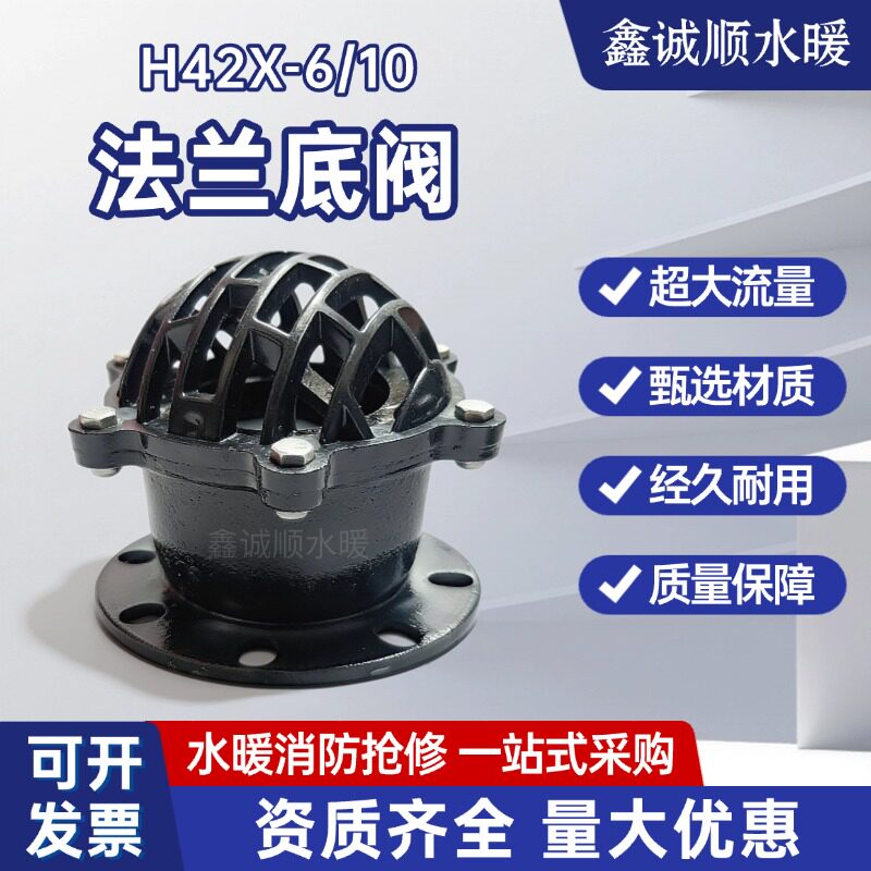 H42X-6/10铸铁法兰底阀单向阀水泵底阀新型底阀止回阀吸水底阀