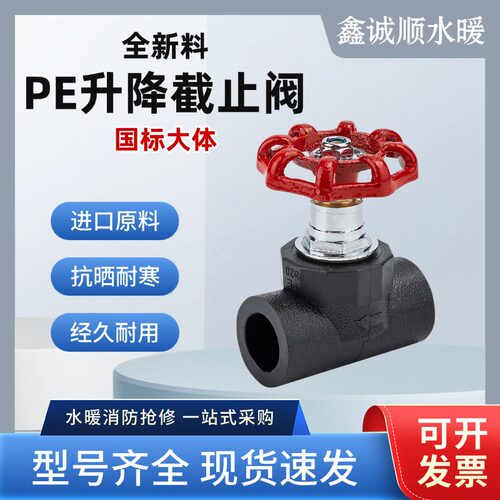 截止阀阀门开关4分202532升降式PE自来水国标大体止水阀水管配件 - 封面