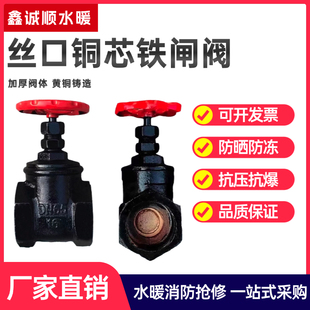 Z15T 16丝扣闸阀铜芯铸铁丝口闸阀闸板阀水管开关闸门国标大体