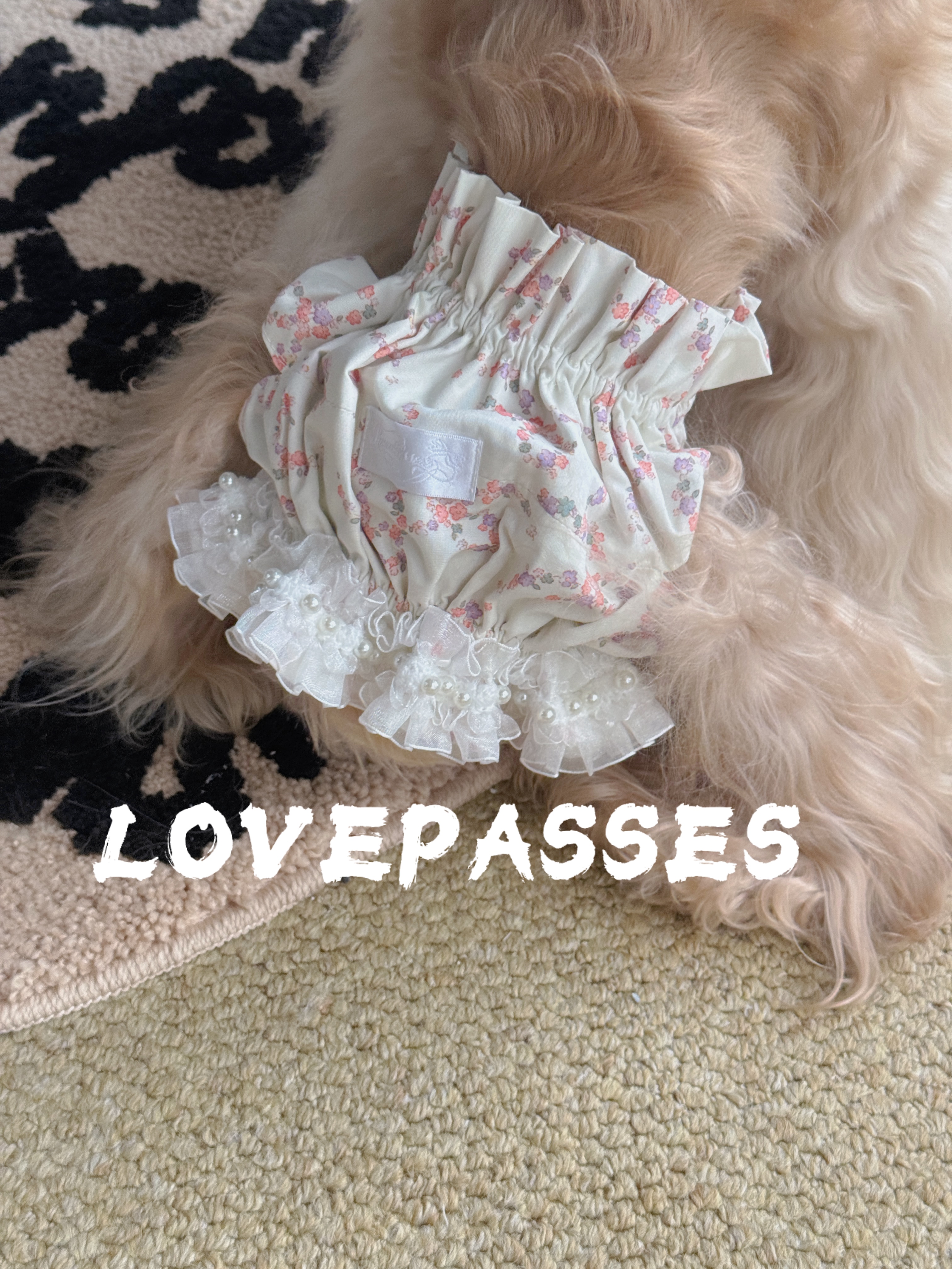 头套发带两用宠物头套lovepasses