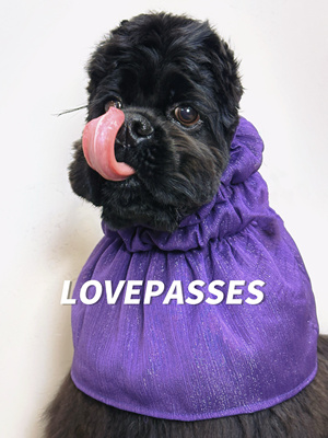 「遮挡胸毛版耳套」阿富汗可卡夏季耳套 长耳狗头套 喝水外出防脏