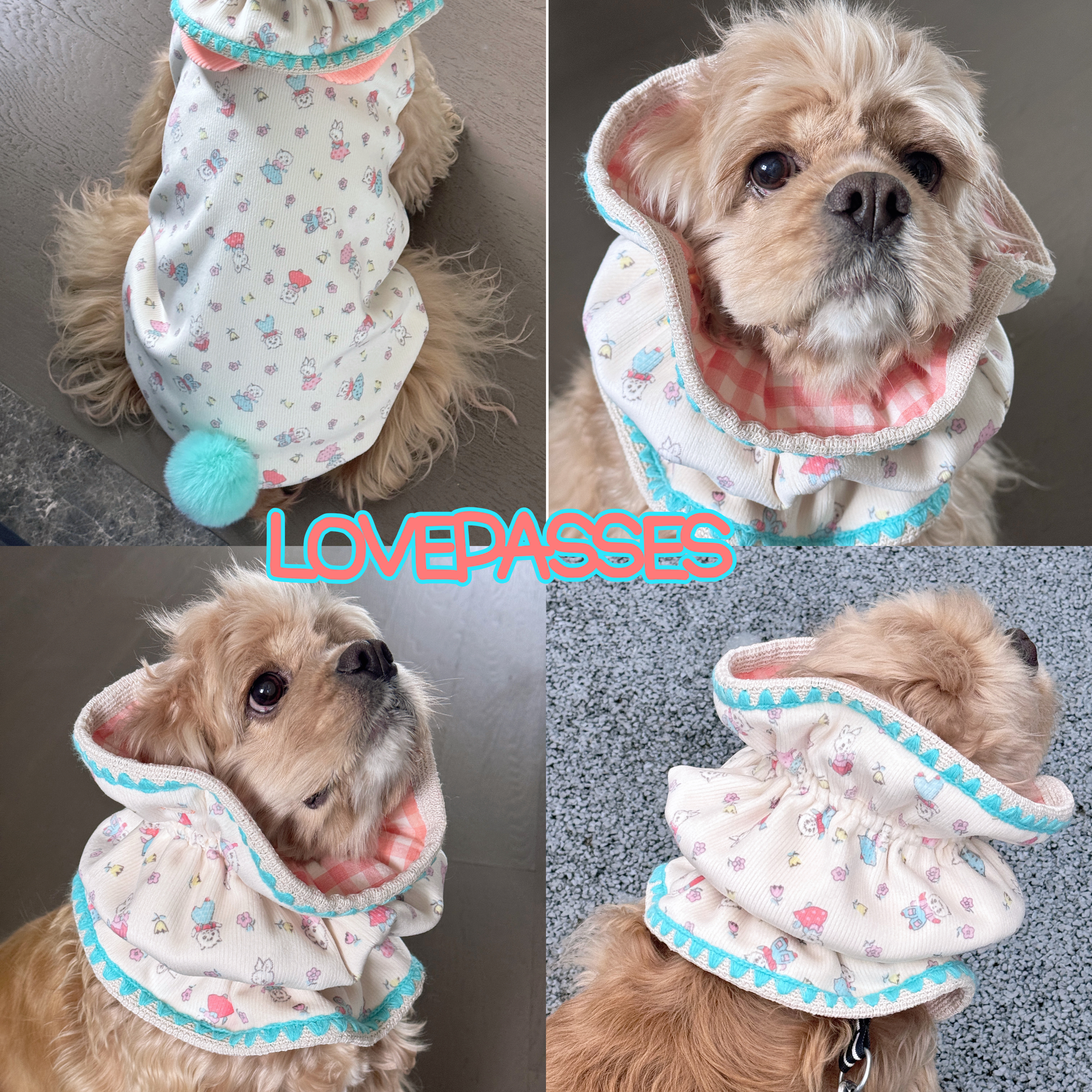 2026新品｜狗狗衣服耳套宠加厚网红无袖韩风卡通猫咪开衫可爱背心,宠物/宠物食品及用品,宠物用品定制周边,淘宝优惠券,粉丝福利购,淘宝优惠卷