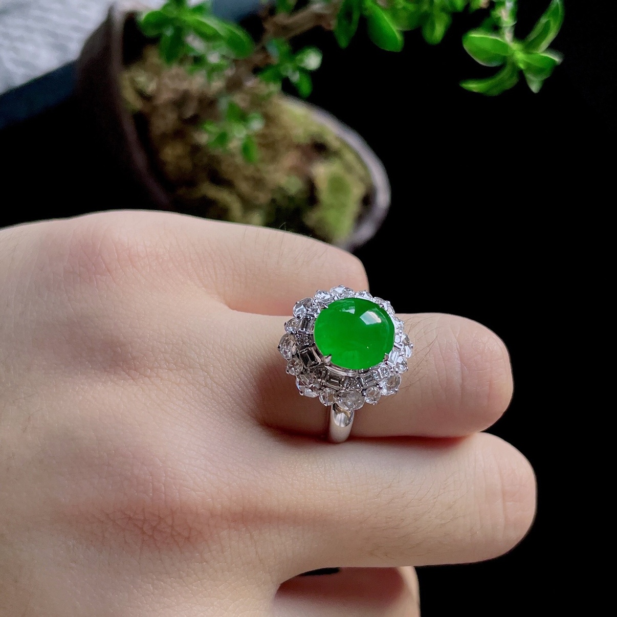 2025天然缅甸翡翠A货冰种阳绿蛋面戒指18K金镶嵌1111ZC109