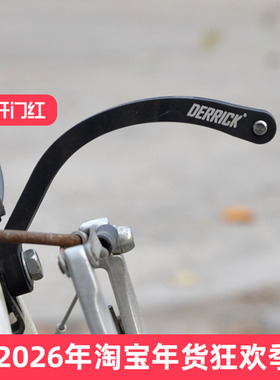 DERRICK折叠自行车灯架 适用DK GS1500 前叉孔前灯架单车装备配件