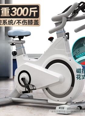 动感单车家用健身器材健身房专用室内运动减肥静音智能动力自行车