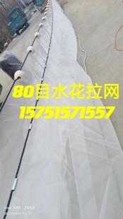 80目水花夏花小鱼苗拉网不伤鱼泥鳅黄鳝小眼拉鱼网