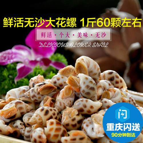 大花螺500g重庆水产螺东风螺贝类