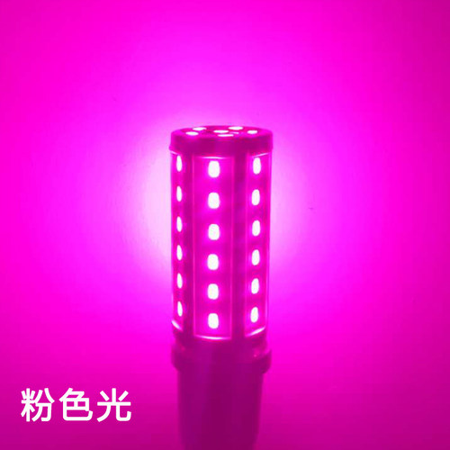 夫妻浪漫氛围玉米灯LED粉色灯泡气氛双头情侣卧室睡眠宿舍小夜灯