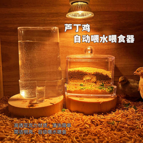 鸟用饮水器自动喂食器鹦鹉喂水器喝水食盒玄凤鸟笼小配件鸟具用品