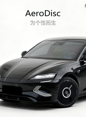 南疆科技适用比亚迪海鸥汉plus唐宋16/18/19/20/21寸全包轮毂盖