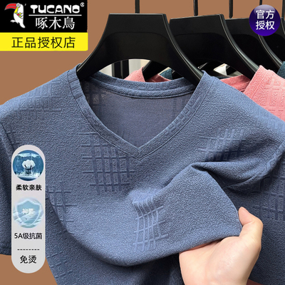 啄木鸟男士短袖t恤夏季2025新款