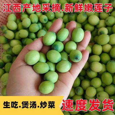江西新鲜水果嫩莲蓬生吃莲子米当季时令水果甜嫩莲子孕妇水果莲子