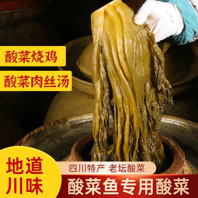 龙家家鱼酸菜泡青菜腌芥菜酸菜鱼肉丝专用调料下饭菜即食泡菜咸菜