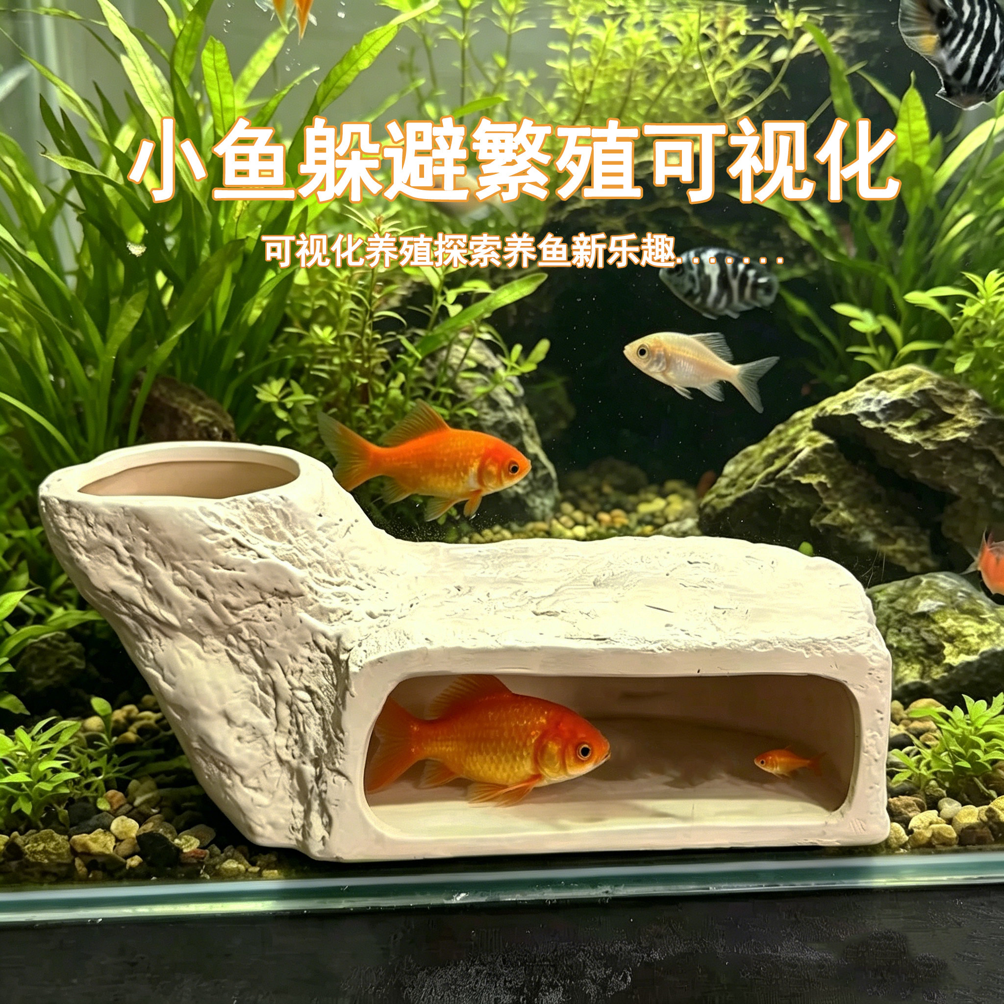 陶瓷鱼缸躲避屋鱼虾躲避洞迷你鹦鹉鲷罐窝鱼繁殖可视化造景摆件