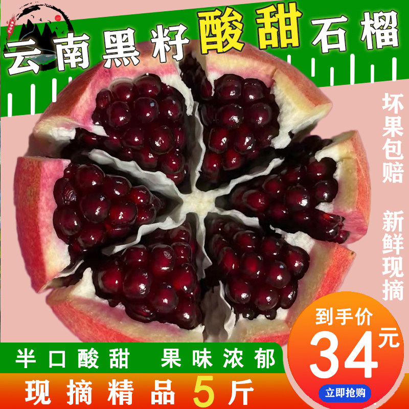 酸甜石榴半口酸甜黑籽