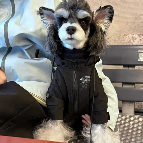 宠物潮牌冲锋衣泰迪比熊雪纳瑞法斗狗狗猫咪秋冬保暖衣服小型棉服