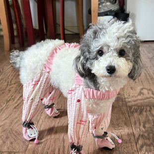 定制狗狗防脏遛弯防尘防虫连鞋四脚裤腿裤比熊泰迪外出狗腿洋气