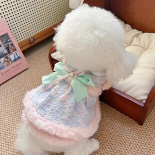 狗狗衣服秋冬装厚款猫咪公主幻彩香风牵引保暖小型宠物