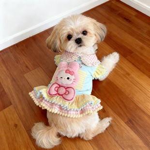 狗狗秋冬新款宠物衣服可爱公主裙小型犬猫咪泰迪马尔济斯比熊