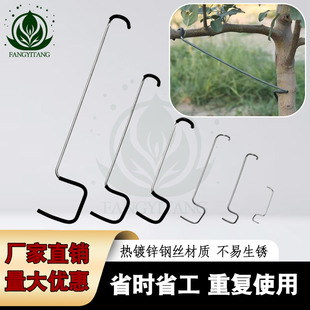 果树拉枝定型器改进型开基角工具压枝樱桃别枝扭拨弯苹果拉枝固定