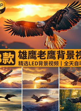 老鹰翱翔天空飞行夕阳雄鹰展翅企业年会励志舞台LED视频背景素材