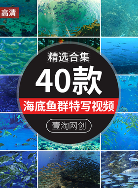 深海底海洋馆水族馆鱼群观赏鱼游动特写LED背景动态视频剪辑素材