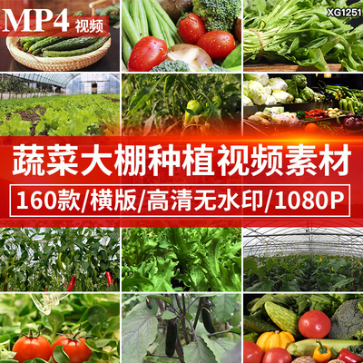 蔬菜水果种植大棚反季节生态健康农产品作物农业有机蔬菜视频素材