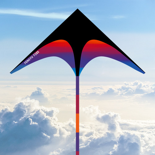 逐风中大型风筝2025新款