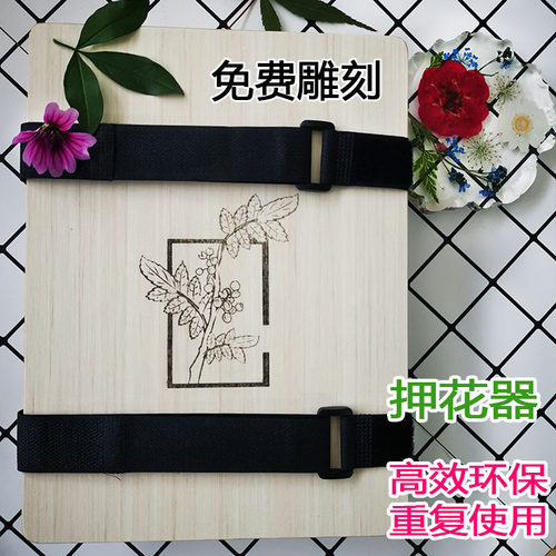 标本制作押花板水果机手工diy