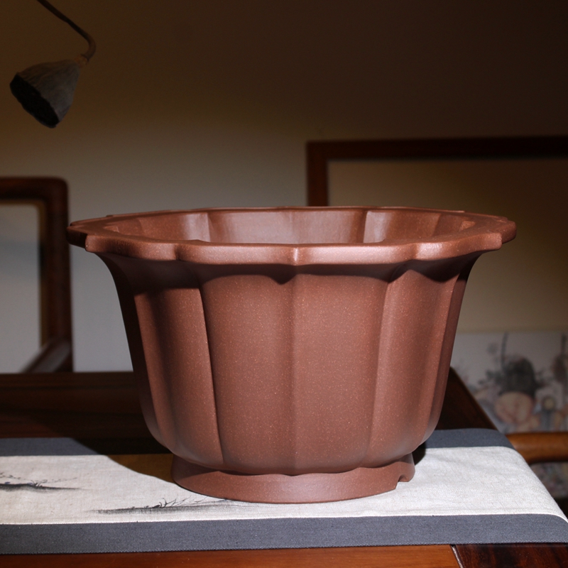 菱花筋纹金钟精品紫砂花盆兰花盆景蒋红翠高深圆形手工君子兰铁树